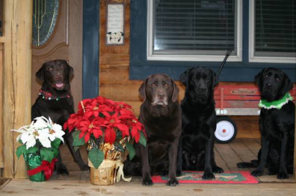 PantherCreek Boys X-Mas 2008